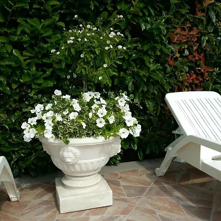 Mit Panoramablick In Ruhiger Lage Apartment *